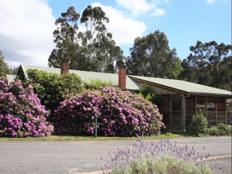 Halls Gap Log Cabins Exterior foto